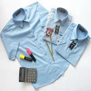 Boys Short Sleeved Blue Shirts 11-16.5
